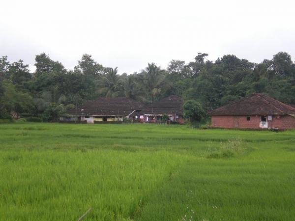 कुसूर गाव आणि निसर्ग